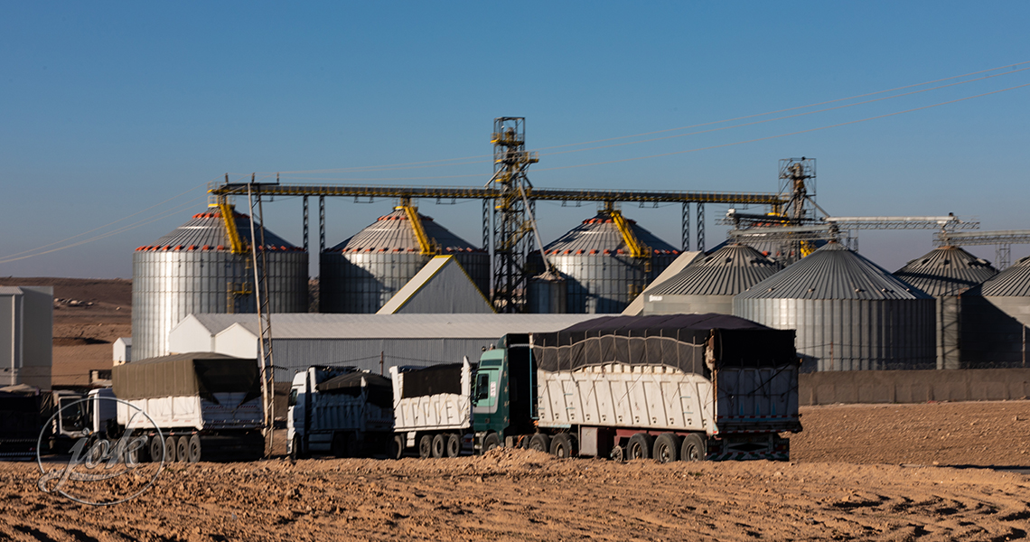 AlHazaa A leading group in multiple industries such as grain milling