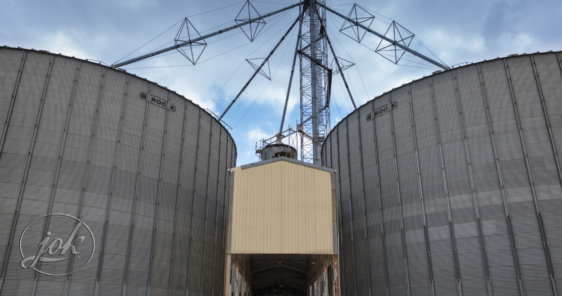 Animal Feed