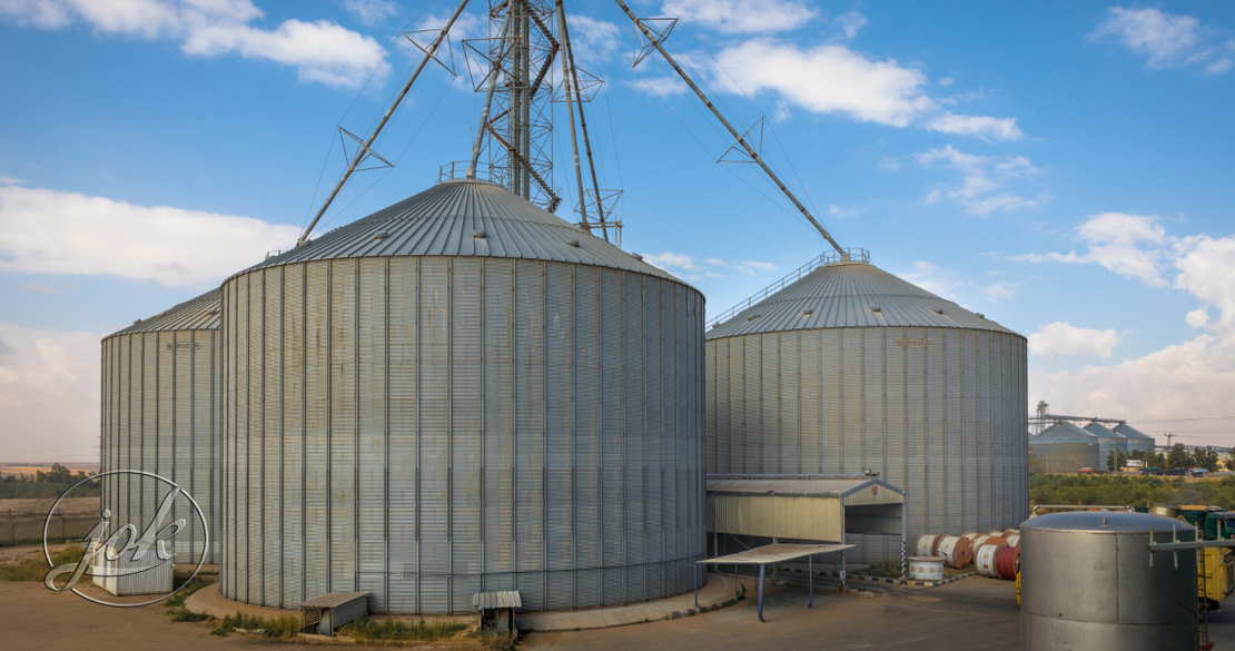Animal Feed