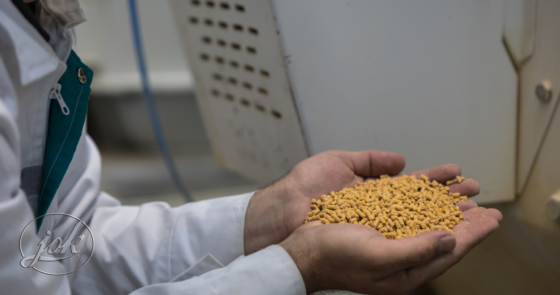 animal Feed