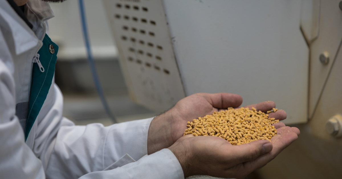 The Global Company for Storage and Animal Feeds AlHazaa